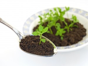 http://www.factslides.com/imgs/Soil-Spoon.jpg