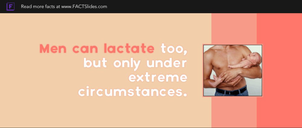 ▷ Men Facts: 36 Facts about Men ←FACTSlides→