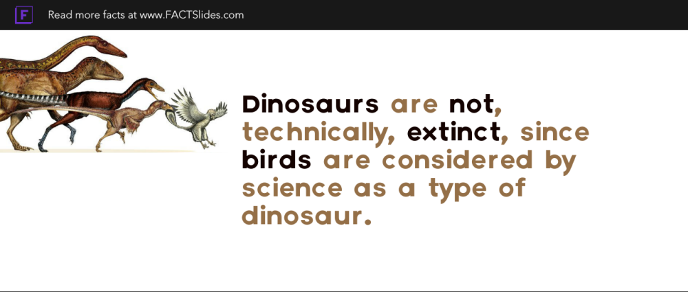 Dinosaurs Facts and Pictures