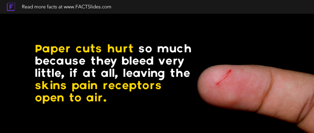 Why do paper cuts hurt so much?