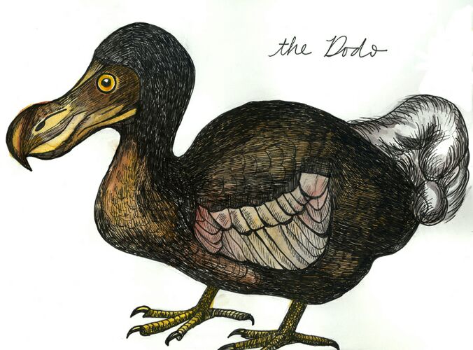 Even after extinction, the Dodo is still the national animal of Mauritius.  Random Facts you didn't know ← FACTSlides →